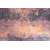 Conceptum Hypnose Tepih Fusion AL 247, 150x230 cm, Šareni