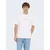 Only & Sons Majica ONSGARFIELD zelena/bela