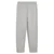 Puma donji deo Evostripe pants dk za muškarce