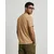 TIMBERLAND Majica ESTABLISHED 1973 mokka