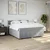 Vidaxl Box spring postelja z vzmetnico svetlo siva 200x200 cm blago