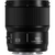 Panasonic objektiv Lumix S 100mm f/2.8 Macro (S-E100)