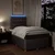Vidaxl Box spring postelja z vzmetnico taupe 120x200 cm blago