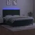 Vidaxl Box spring postelja z vzmetnico LED tem. zelena 160x200cm žamet