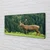 tulup.si Slika na platnu Deer na področju 100x50 cm