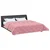 Vidaxl Poletna odeja Roza 200 x 220 cm Mikrofibra in Teddy flis
