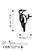 Aberto Design Dekorativna figura Bird On The Branch 01, 18x30 cm, 1.5 mm
