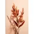 Slika listi Peach Fuzz - 40x60