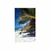 Plakat s paspartujem lepote plaža Anse Source - 60x90 white