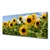 tulup.si Slika na platnu Sončnica flower rastlin 120x60 cm