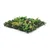 Umetna zelena stena G21 Listo Herb, 50x50 cm