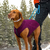 Kurgo Core pulover za pse Heather Violet L
