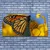 tulup.si Slika na platnu Butterfly cvet narava 140x70 cm