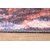 Conceptum Hypnose Tepih Opus AL 307, 150x230 cm, Šareni