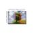 Wallity Slika Kanvas Tablo-105, 70x100 cm