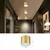 Immax NEO 07318L - LED prigušiva stropna lampa RONDATE 32W/230V 16,5 cm Wi-Fi Tuya zlatna