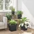Saksije za biljke 6 pcs Crna 33 x 33 x 26 cm Plastika
