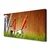 tulup.si Slika na platnu Grass nature orodja 140x70 cm