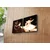 Wallity Zidni sat 2P2828CS-4, 60x28 cm, 2 dela