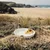 Tart baking dish, ceramic, 29.5 cm/1.3L, Clay - Emile Henry