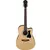IBANEZ elektro akustična kitara V70CE-NT
