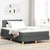 Vidaxl LED Box Spring Postelja Temno siva 120 x 200 cm blago