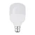 FSL LED sijalica, B22, 15W, 6500K
