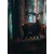 Fototapeta jelen v gozdu - 196x270