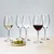 Kozarci za belo vino 280 ml komplet 4 kosov - BASIC Glas Lunasol META Glass - 322001