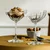 Schott Zwiesel Refract kozarec za peneče vino, prostornina 0,281 l (6 kos)