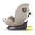 Coccolle avtosedež Nova 2022 Isofix iSize (0-36kg), Sand beige