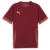 Puma Dres teamGOAL Matchday Jersey