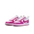 Nike COURT BOROUGH LOW RECRAFT (GS), dječije patike, bijela DV5456