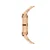 Daniel Wellington Ročna ura Link DW00100213 Zlata