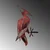 Atelier Del Sofa Dekorativna figura Bird on the branch 30, 40x22 cm, 1.5 mm, Braon