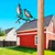 Atelier Del Sofa Dekorativna figura Bird on the branch 29, 39x45 cm, 1.5 mm, Bronzane boje