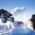 Milestone Igrica za Switch Monster Jam Showdown - Day One Edition