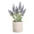 Eglo 428031 - Veštačka biljka u saksiji CHITOSE 22x8 cm lavanda