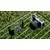 Tilta Full Camera Cage for Canon R50 V - Black