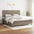 Vidaxl Box spring postelja z vzmetnico taupe 200x200 cm blago