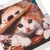 shumee TG64203-5 diamantno vezenje mucek CAT 3D diamantna slika