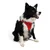 PAWS & WHISKERS Am za pse Air Mesh Garnet XS