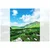 Fototapeta dolina v Črni Gori - 245x270