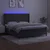 Vidaxl Box spring postelja z vzmetnico LED temno siva 160x200 cm žamet