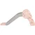 Chipolino Tobogan 116cm Tree pink ( SLTRE02409PI )