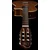 Godin Concert CW Clasica II ozvučena klasična gitara