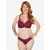 SugarShape Tangice Basic bordo