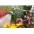 GARDENA Prskalica Premium