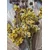 Venture Design Poster Bouquet 21x30 cm rumena