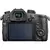 PANASONIC D-SLR fotoaparat Lumix GH5 (body)